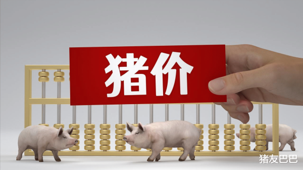 在线炒股配资门户 涨了, 涨了, 猪价上涨“涨猛了”! 附: 6月12日猪价