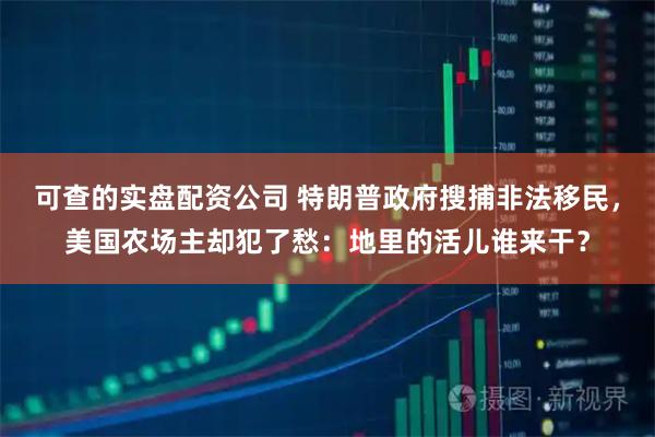 可查的实盘配资公司 特朗普政府搜捕非法移民，美国农场主却犯了愁：地里的活儿谁来干？