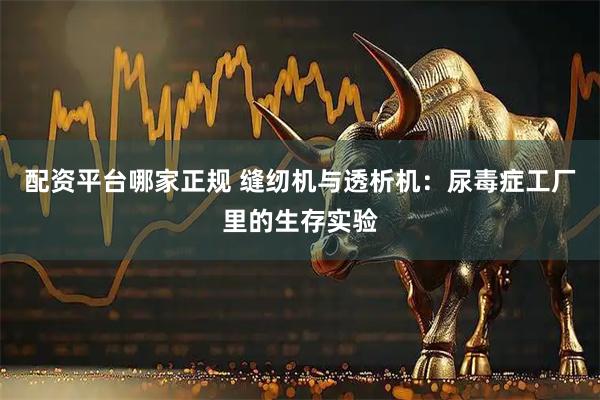配资平台哪家正规 缝纫机与透析机：尿毒症工厂里的生存实验
