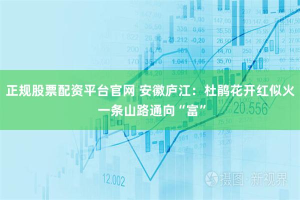 正规股票配资平台官网 安徽庐江：杜鹃花开红似火 一条山路通向“富”